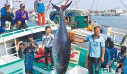 中国台湾渔民吃瓜视频,吃瓜视频背后的文化现象与两岸交流