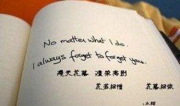 感情吃瓜故事文字版视频,一场关于爱情与瓜果的甜蜜冒险