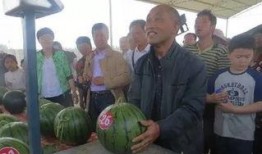 兴义吃瓜群众事件视频,网络热议背后的真相揭秘