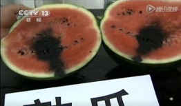 日本吃瓜视频,揭秘网红美食背后的故事