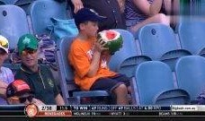 足球解说员吃瓜是谁啊视频,揭秘足球解说员“吃瓜”背后的故事