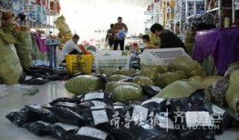 曹县大集吃瓜事件视频,一场引发热议的网络视频风波