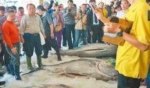 中国台湾渔民吃瓜视频,吃瓜视频背后的文化现象与两岸交流