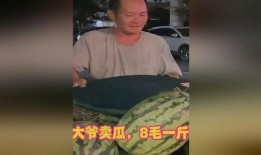 大爷翻车吃瓜视频大全