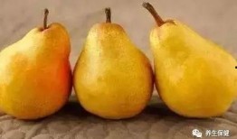 吃蜜不吃瓜的视频下载,视频下载背后的秘密解析