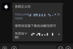 昆明正义坊吃瓜视频链接,揭秘昆明街头美食风云