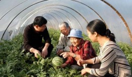 新疆老爷爷吃瓜视频,瓜香四溢，乐享晚年