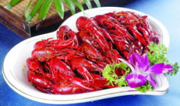 吃虾瓜的视频大全,视频大全带你领略美味瞬间