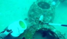 吃货吃瓜小视频,吃货们的美食盛宴