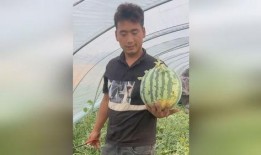 吃瓜视频让人心痛,揭开网络暴力真相