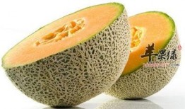 吃哈密瓜把整个塞嘴里搞笑视频,笑料横生！