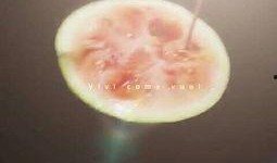 吃瓜星星视频,一场视觉盛宴的幕后故事