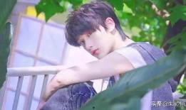 何炅吃瓜谢娜张杰视频,吃瓜谢娜张杰背后的温馨故事