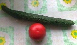 葫芦瓜怎么吃鸡蛋汤视频,家常美味，营养满分