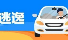 肇事司机吃瓜视频,一场意外的网络狂欢