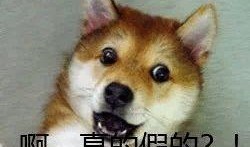 吃瓜被骗段子搞笑视频,笑料百出！吃瓜被骗段子搞笑视频大盘点