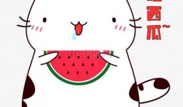 吃瓜可爱视频大全下载安装,吃瓜可爱视频大全下载安装攻略