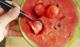 用勺子吃无籽瓜可以吗视频,勺子轻松享用，视频教你轻松学会