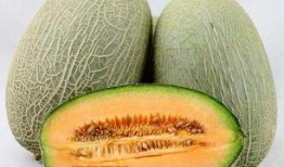 吃哈密瓜把整个塞嘴里搞笑视频,笑料横生！