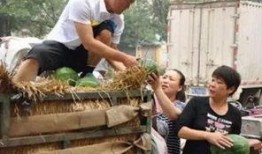 万隆城吃瓜事件视频,一场引发热议的网络风波