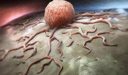 吃龙瓜能得癌症吗视频,专家解读食品安全疑虑