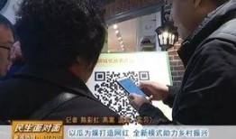 大舒城吃瓜群众视频播放,揭秘热门视频背后的热议焦点