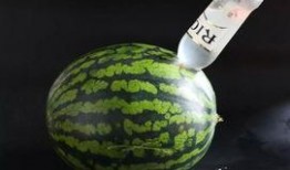 花式吃瓜教学视频,花式吃瓜教学视频大揭秘