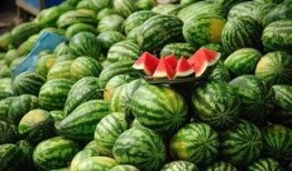 临安吃瓜事件视频最新进展